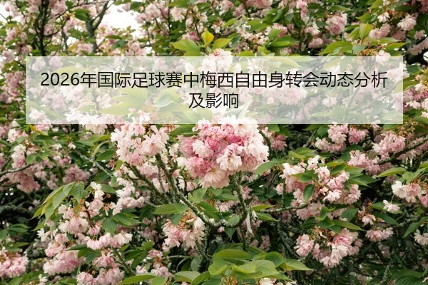2026年国际足球赛中梅西自由身转会动态分析及影响