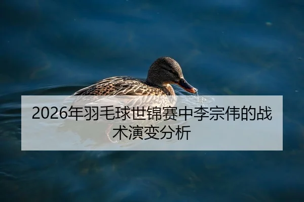 2026年羽毛球世锦赛中李宗伟的战术演变分析