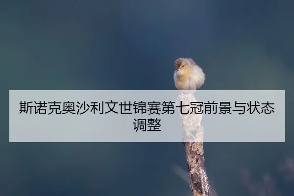 si-nuo-ke-ao-sha-li-wen-shi-jin-sai-di-qi-guan-qian-jing-yu-zhuang-tai-tiao-zheng-2-592.jpg