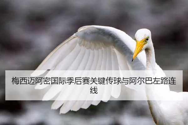 mei-xi-mai-a-mi-guo-ji-ji-hou-sai-guan-jian-chuan-qiu-yu-a-er-ba-zuo-lu-lian-xian-2-521.jpg